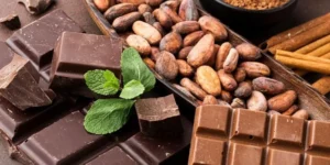 Conheça os benefícios do cacau e como consumir chocolate de forma saudável