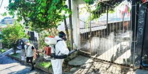 Entidades da saúde pedem “medidas preventivas urgentes” contra a dengue no RS