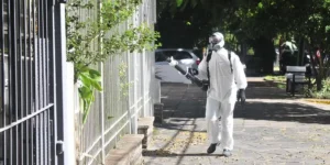 Rio Grande do Sul totaliza 24 mortes por dengue em 2024