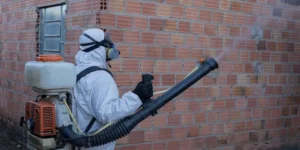 Canoas e Cachoeirinha decretam situação de emergência em razão do alto índice de confirmados para dengue