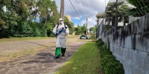 Apenas 31 cidades gaúchas não possuem infestação do mosquito transmissor da dengue