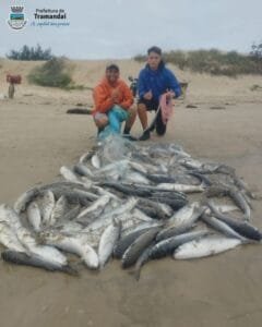 Você viu? Jovem pesca mais de 120 Tainhas de uma única vez em Tramandaí!!! 