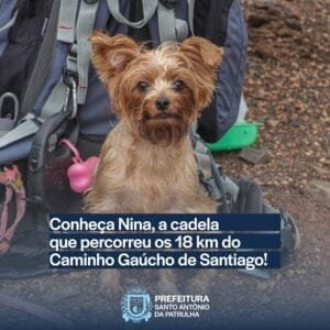 Conheça Nina, a cadela que percorreu a 3ª Caminhada com a Comunidade no Caminho Gaúcho de Santiago, em SAP!