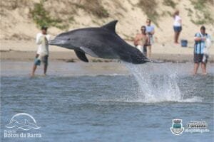 Biólogo registra saltos espetaculares de boto no Rio Tramandaí 