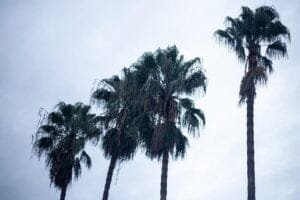 Semana começa com sol e temperaturas altas, mas chuva volta ao RS na Quarta-feira