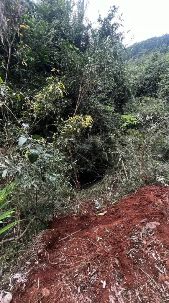 Homem de 76 anos morre após acidente com trator em Roca Sales 1 4948592 bef726aeb74785d