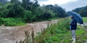 RS volta a contabilizar estragos após chuva forte nesta segunda-feira