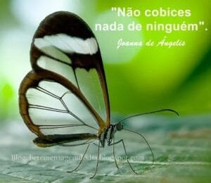 Mensagem do dia: O corvo cobiçoso