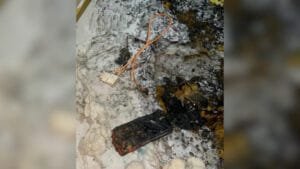 Celular explode em cima de cama e fotos mostram destruição, em SC