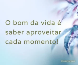 Mensagem do dia: Jamais deixe de Aproveitar a Vida