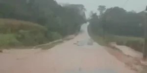 Mais de 60 cidades do RS relatam danos relacionados à chuva