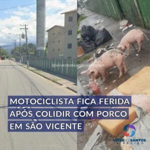 Uma motorista de caminhão colidiu com um porco enquanto dirigia uma moto na Vila Ema, em São Vicente, na noite de segunda-feira (1°).