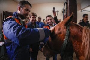 Mais de 12 mil animais já foram resgatados das enchentes no Rio Grande do Sul