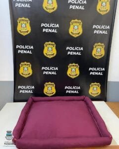 Solidariedade RS: Projeto em parceria com o Presídio Modulado de Osório produz camas para os pets com roupas que iriam para descarte