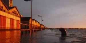 Feriado desta Quinta terá sol e noite gelada em todo o Estado