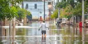 Confirmada a quinta morte por leptospirose no Rio Grande do Sul