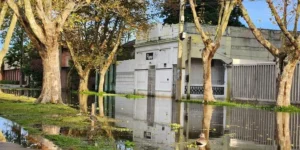 Água da Lagoa dos Patos recua em cidades do sul do RS