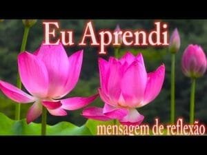 Mensagem do dia: Eu aprendi
