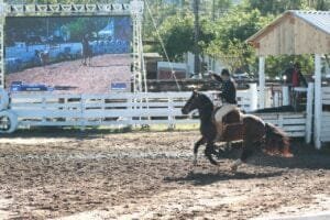 No Segundo dia do 40° Rodeio Crioulo Internacional de Osório.