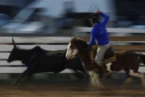 A quinta-feira, 27, foi repleta de atividades no Parque de Rodeios Jorge Dariva em Osório