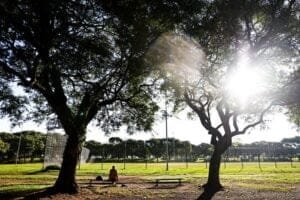 Domingo terá céu nublado e temperatura agradável no RS