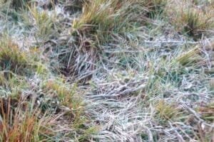 Cambará do Sul registra temperatura de 1,7ºC, a mais baixa do RS nesta Terça-feira