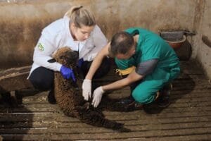Faculdade continua sendo a melhor maneira de começar uma carreira profissional