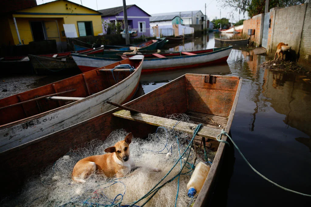 Após um mês isolada pela enchente, colônia de pescadores ganha ponte provisória 6 4980258 d70d130c95dfa68