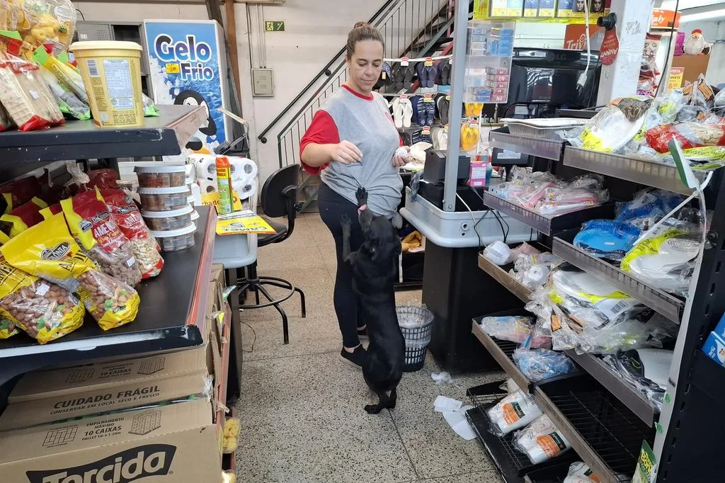 Cachorro abandonado durante a enchente é acolhido em mercado de Alvorada, mas precisa de adoção 2 4981639 29ce7c9fdbcc2dc