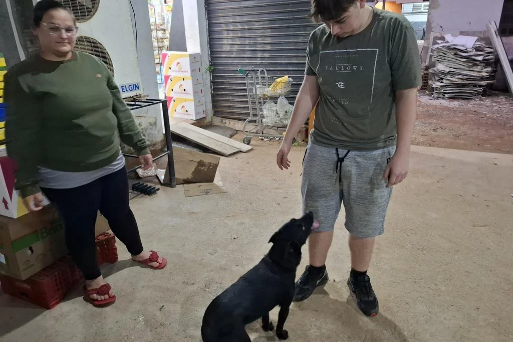 Cachorro abandonado durante a enchente é acolhido em mercado de Alvorada, mas precisa de adoção 5 4981642 a589dcd5fa647d8