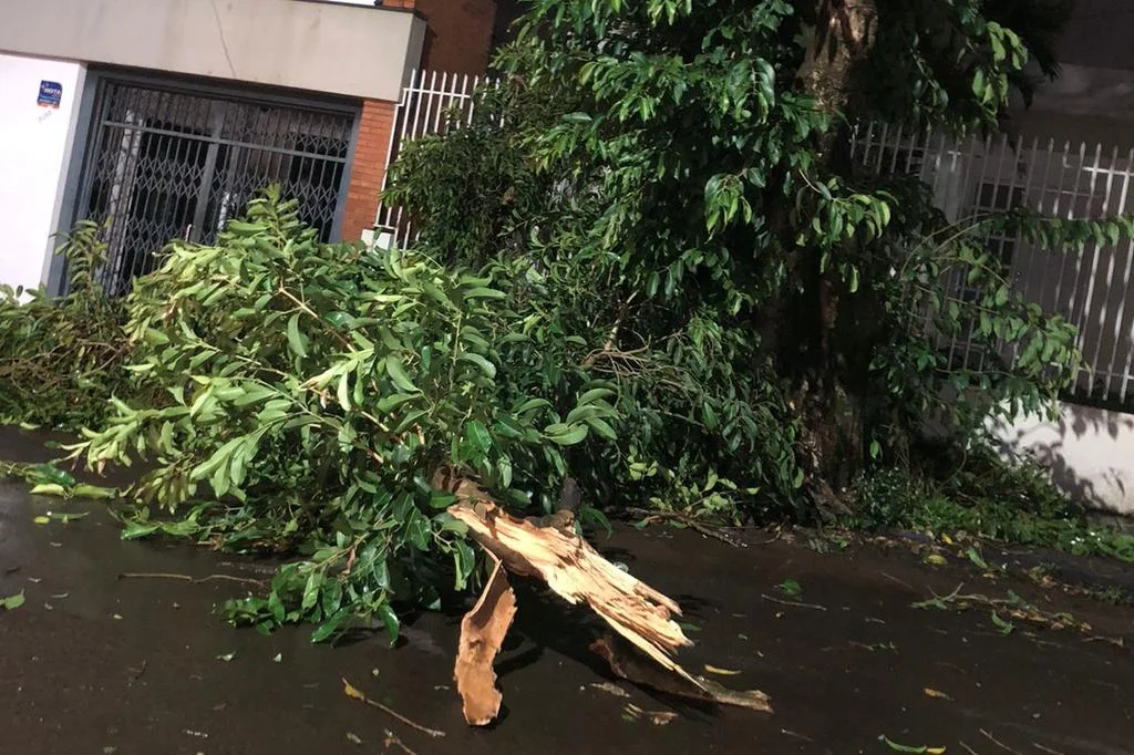 Defesa Civil estima que 15 mil pessoas tenham sido afetadas por forte temporal em São Luiz Gonzaga, nas Missões 14 4984065 e43dda416ff6270