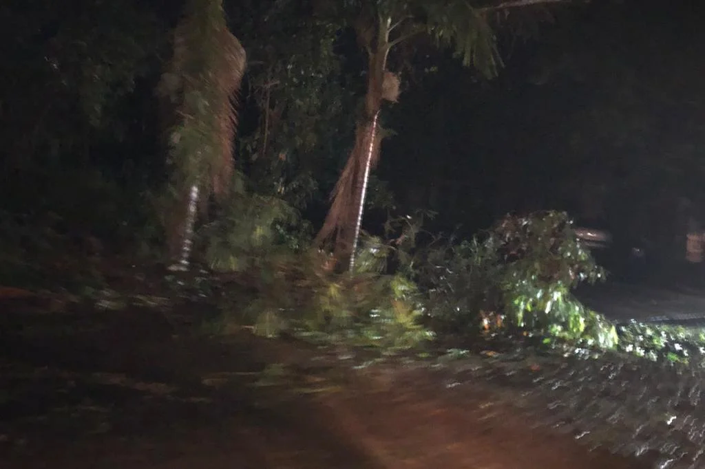 Defesa Civil estima que 15 mil pessoas tenham sido afetadas por forte temporal em São Luiz Gonzaga, nas Missões 12 4984073 3f130276e29864b