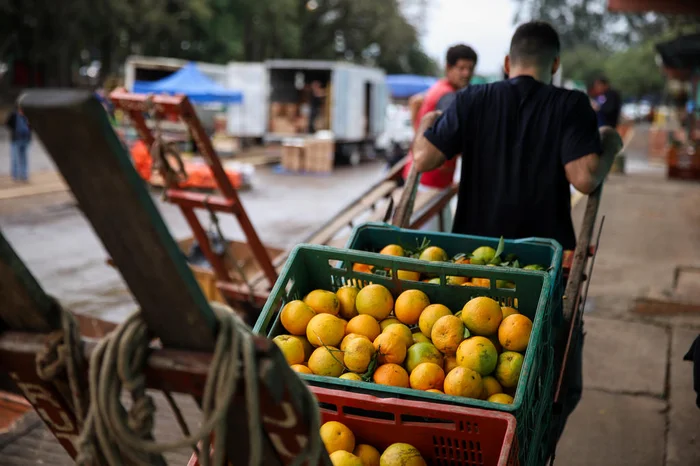 Em tom de festa e no improviso, Ceasa retoma operação na sede da central após mais de um mês 2 4984778 95f20d490feb3fa