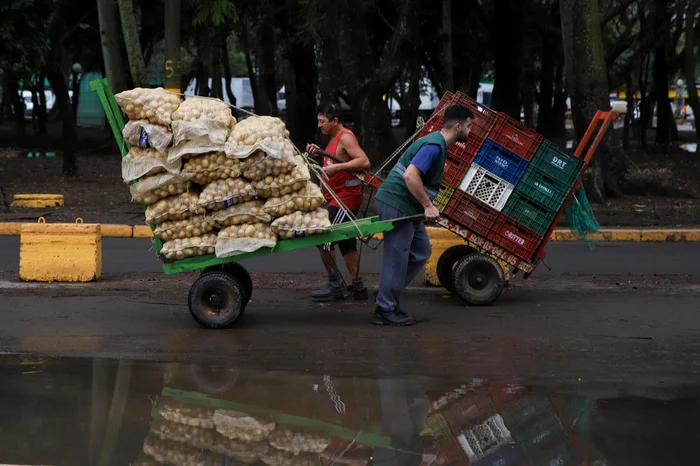 Em tom de festa e no improviso, Ceasa retoma operação na sede da central após mais de um mês 4 4984793 4884abf54066676