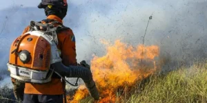 Com incêndios, Mato Grosso do Sul decreta Situação de Emergência