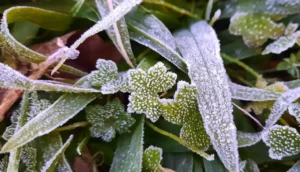 Massa de ar polar derruba temperaturas neste final de semana em várias cidades do RS