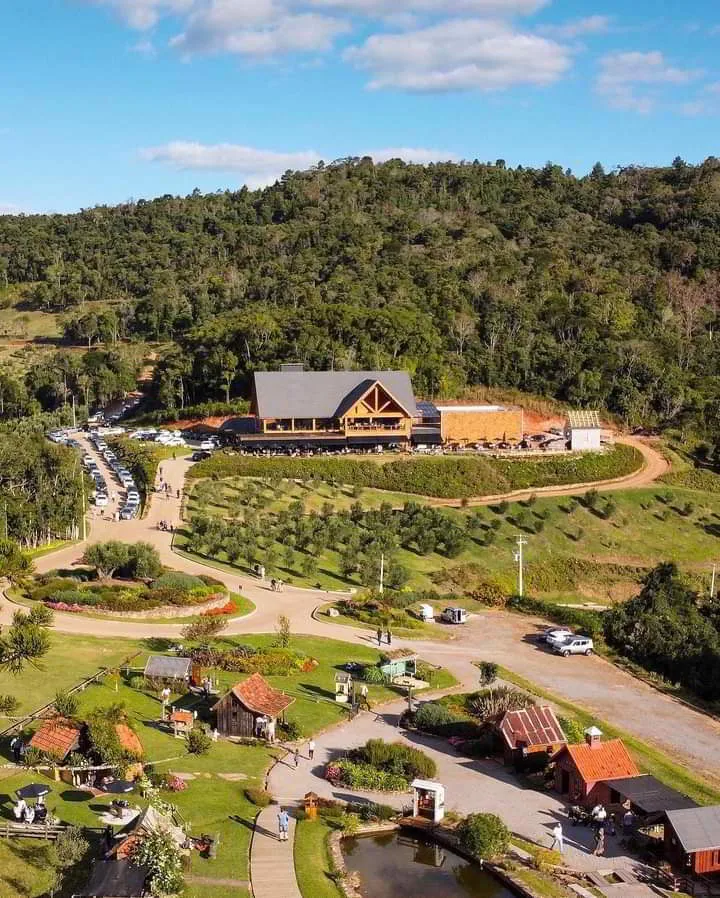 Olivas de Gramado Olivas de Gramado