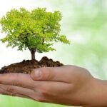 Farroupilha promove ações em alusão ao Dia Mundial do Meio Ambiente
