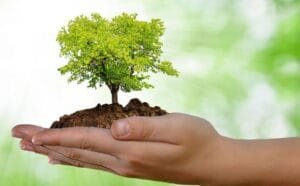 Farroupilha promove ações em alusão ao Dia Mundial do Meio Ambiente