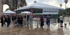 Mais de 200 animais ganham novos lares durante feira de adoção em Porto Alegre