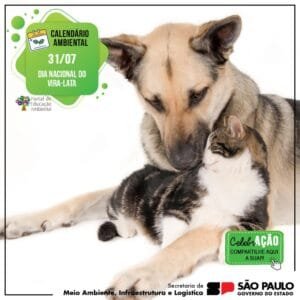 31 de julho – Dia Nacional do Vira-Lata ou Sem Raça Definida (SRD)