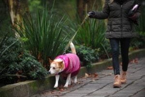 Cidades da Serra podem ter chuva congelada, neve e temperaturas negativas nesta Quarta-feira