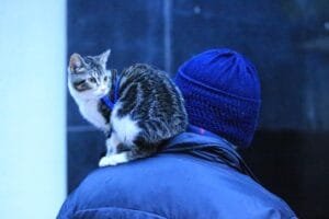 Final de semana será chuvoso no RS; frio segue intenso