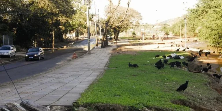 Porto Alegre: Guarujá tem alagamentos, lixo espalhado e proliferação de urubus