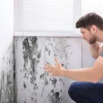 Mofo nas paredes: Qual o risco para saúde e como eliminá-lo de 3 formas caseiras, simples e eficazes