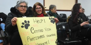 Dois meses após a enchente, cerca de 15 mil cães e gatos resgatados ainda vivem em abrigos no RS