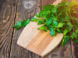 Como plantar e ter salsinha sempre fresca e abundante