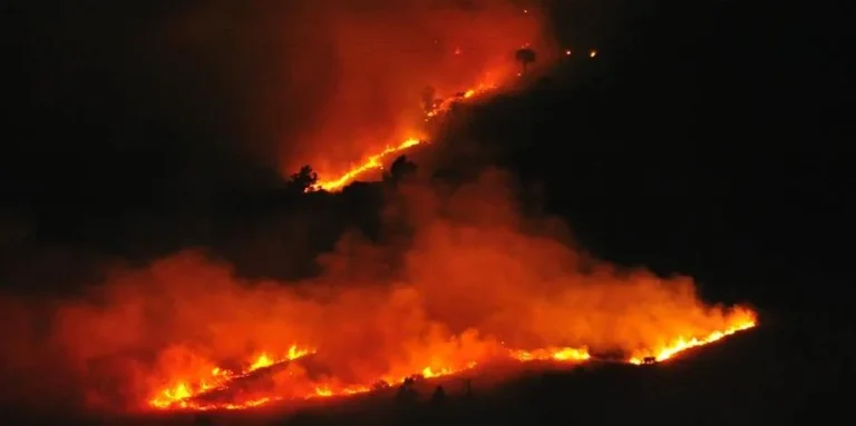 Incêndio em vegetação atinge vários pontos do Morro Santana, em Porto Alegre