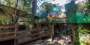 Parque do Caracol, em Canela, volta a abrir diariamente