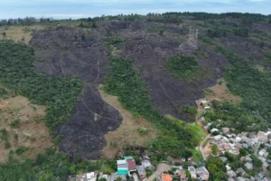 Imagem mostra região afetada pelo incêndio no Morro Santana, em Porto Alegre